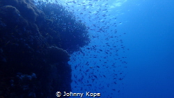 #scubadiving4life by Johnny Kope 